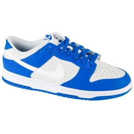 Nike Dunk Low FN3416-001 skor vit