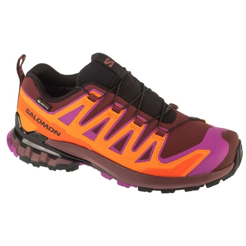 Salomon XA Pro 3D V9 GTX Rinnande skor i L47961900 mångfärgad