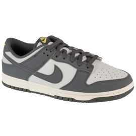 Nike Dunk Low NN FZ4621-001 skor