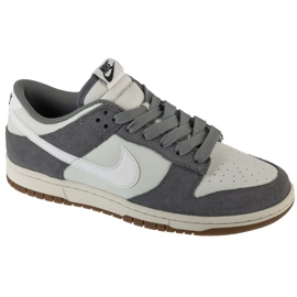 Nike Dunk Low Retro SE M IB6399-001 skor