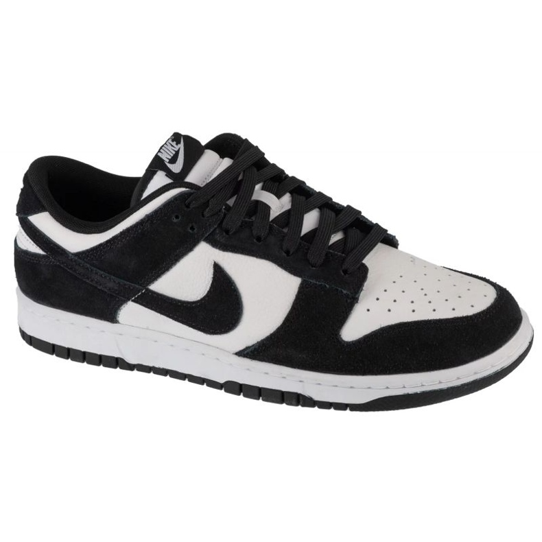 Nike Dunk Low Retro M FQ8249-100 skor