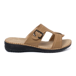 Shelvt Beige kvinnors flip flops med silverspännen