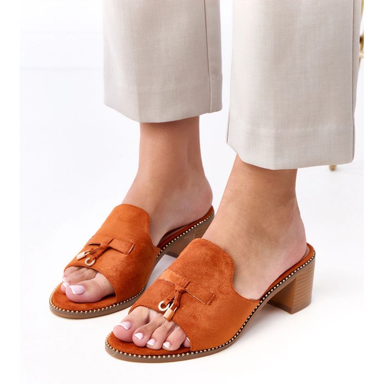 Brun flip -flops på björkprydnaden