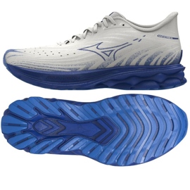 Mizuno Wave Skyrise 6 M J1GC250954 Skor