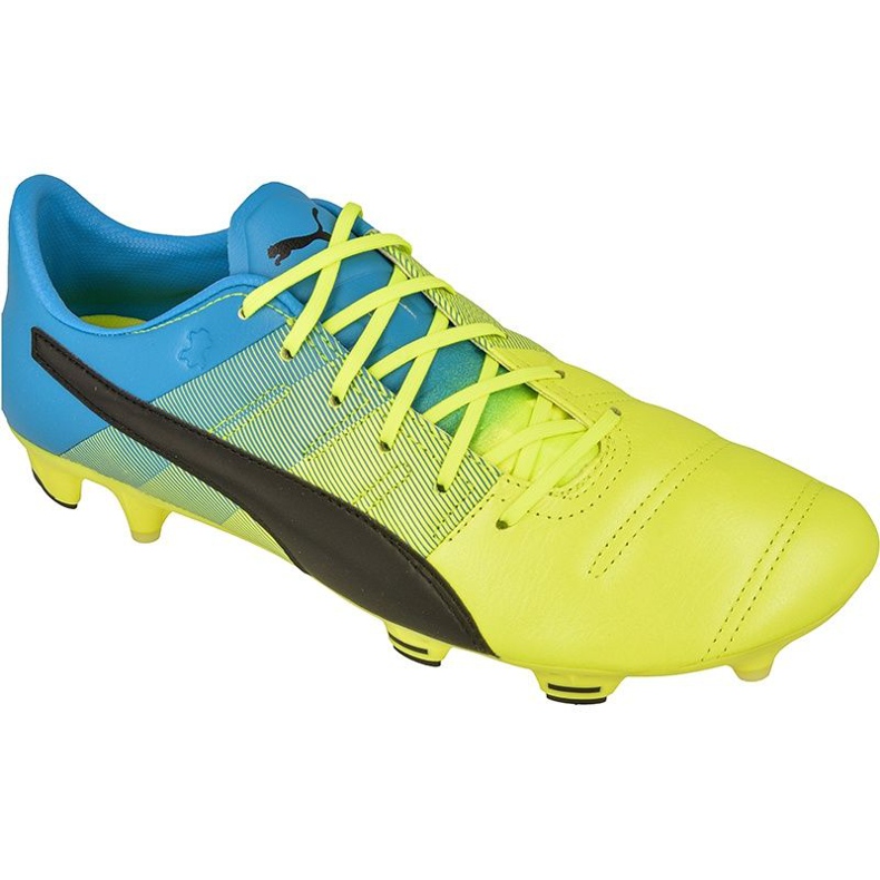 Puma evoPOWER 1.3 FG M Läder 10352701 fotbollsskor