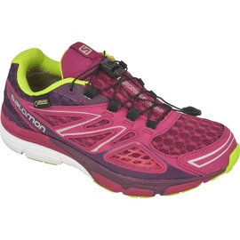 Löparskor Salomon X-Sceream 3D GTX W L37596400 purpur