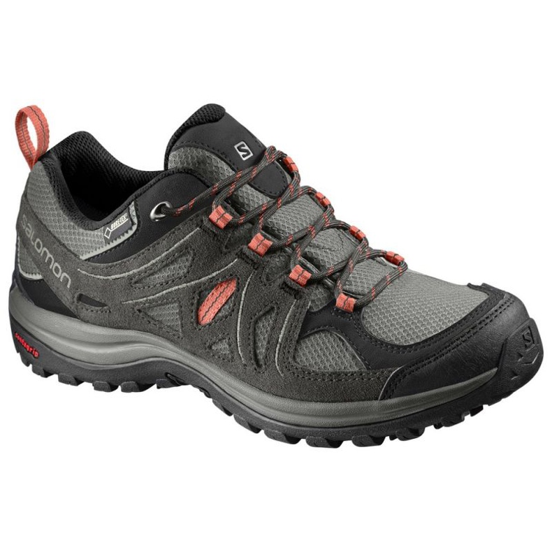 Trekkingskor Salomon Ellipse 2 GTX W L40002100 grå