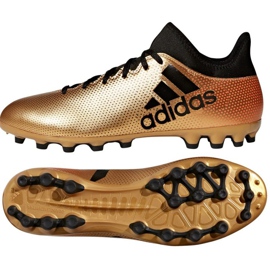 Adidas X 17.3 Ag M CP9233 fotbollsskor mångfärgad gyllene