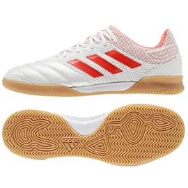 Inomhusskor adidas Copa 19.3 IN Sala M D98065 vit