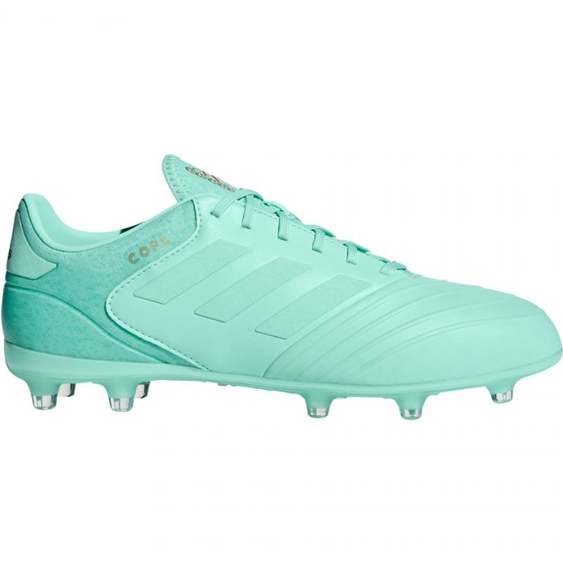 Adidas Copa 18.2 FG M DB2446 fotbollsskor blå