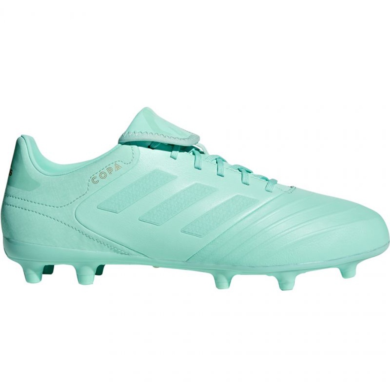 Adidas Copa 18.3 Fg M DB2462 fotbollsskor blå blå