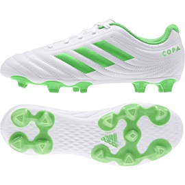 Adidas Copa 19.4 Fg Jr D98089 fotbollsskor mångfärgad vit