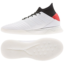 Adidas Predator 19.1 Tr M F35619 fotbollsskor mångfärgad vit