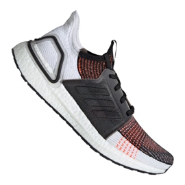 Löparskor adidas UltraBoost 19 m M G27519 mångfärgad