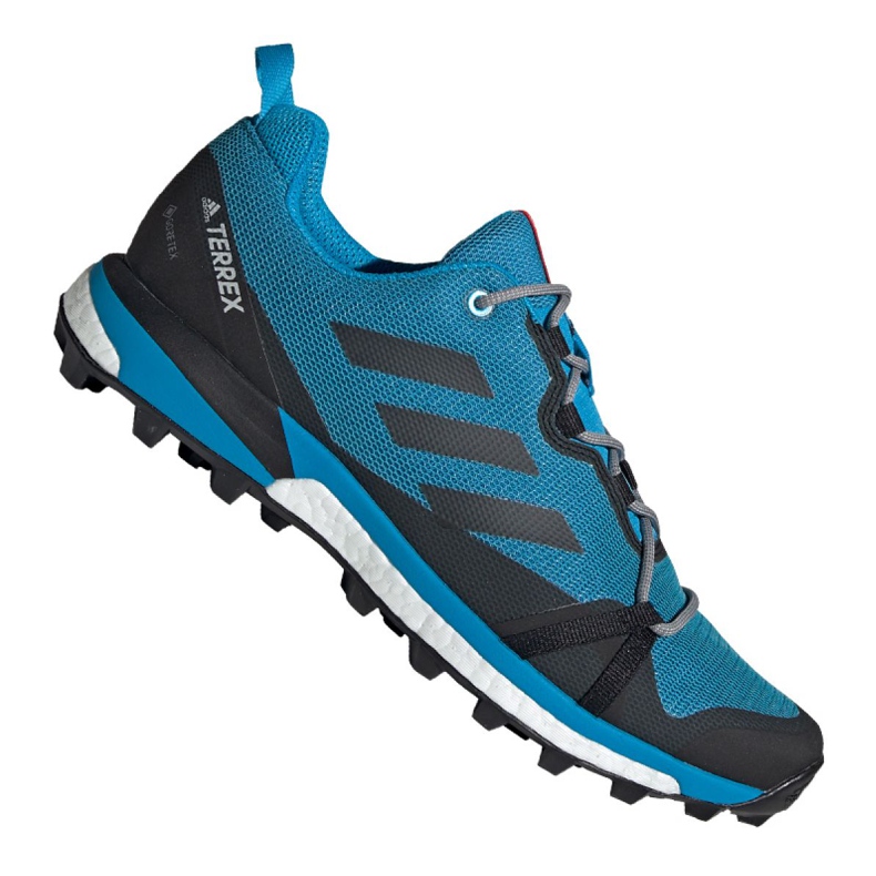 Adidas Terrex Skychaser Lt Gtx M F36107 skor svart blå