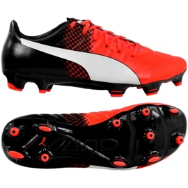 Fotbollsskor Puma Evo 2.3 Fg M 103853 01 svart svart