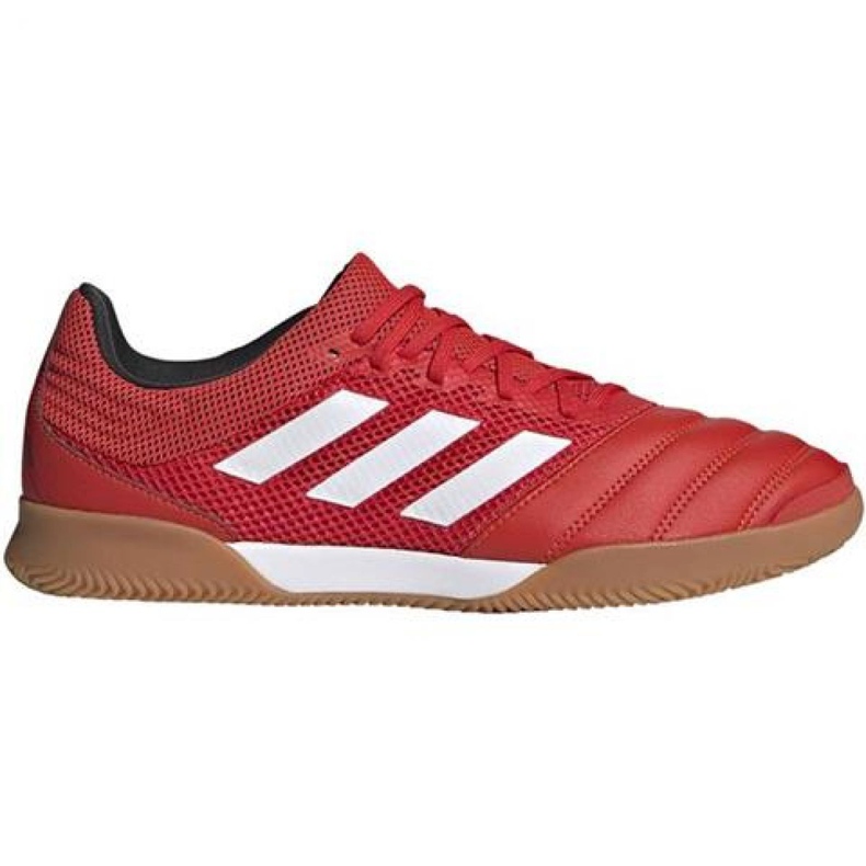 Inomhusskor adidas Copa 20.3 I Sala M G28548 röd röd
