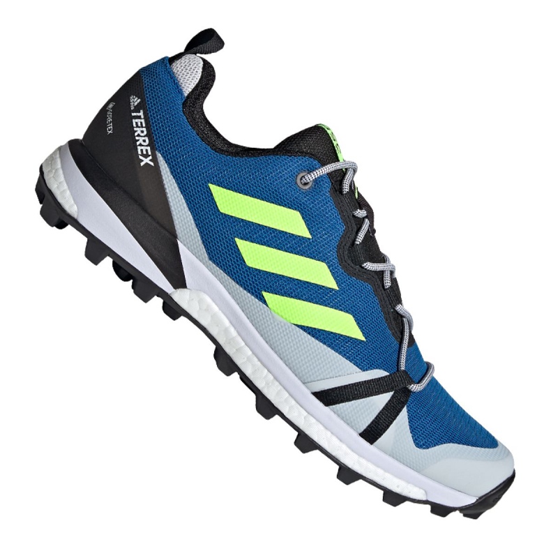 Adidas Terrex Skychaser Lt Gtx M EH2427 skor blå mångfärgad