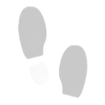 Skechers Track-Scloric 52631-BBK M 52631-BBK svart