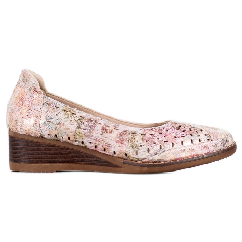 Pumpar på VINCEZA -kilen mångfärgad