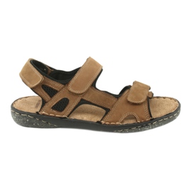 American Club herrsandaler kardborrband CY15 / 20 brun
