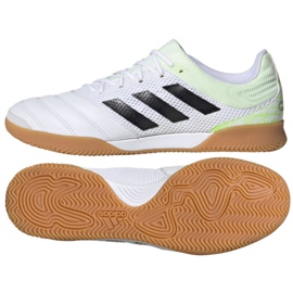 Inomhusskor adidas Copa 20.3 I Sala M G28547 mångfärgad vit