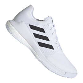 Adidas Crazyflight M FW8237 volleybollskor mångfärgad vit