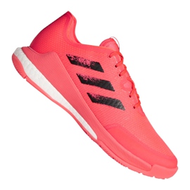 Adidas Crazyflight Tokyo M FX1764 volleybollskor mångfärgad rosa