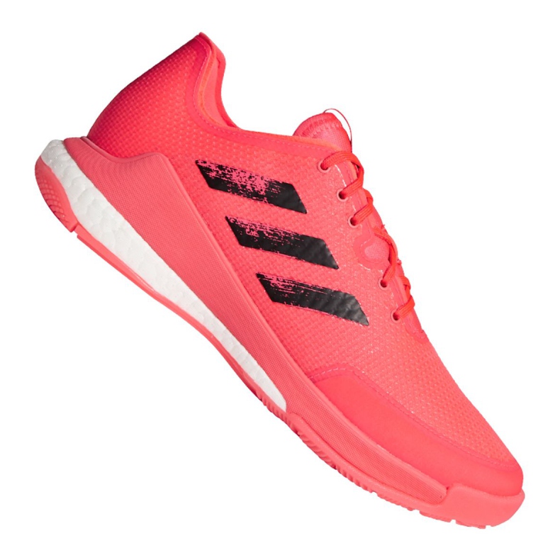 Adidas Crazyflight Tokyo M FX1764 volleybollskor mångfärgad rosa