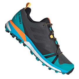 Adidas Terrex Skychaser Lt Gtx M FX0148 skor mångfärgad blå