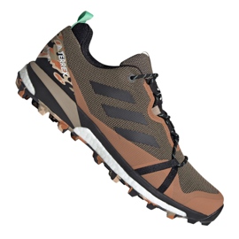 Adidas Terrex Skychaser Lt Gtx M FV6827 skor brun svart mångfärgad