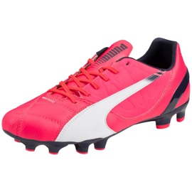 Fotbollsskor Puma Evo Speed ​​3.3 Fg 103014 03 rosa rosa