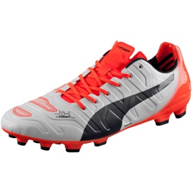 Puma Evo Power 1.2 Ag 103213 05 fotbollsskor grå