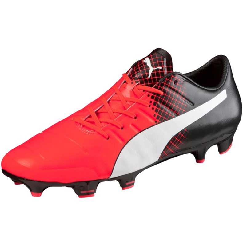 Fotbollsskor Puma Evo Power 2.3 Fg 103853 01 svart svart