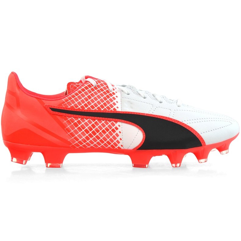 Fotbollsskor Puma Evo Speed ​​3.5 Fg Läder 103794 01 blå, vit, svart mångfärgad