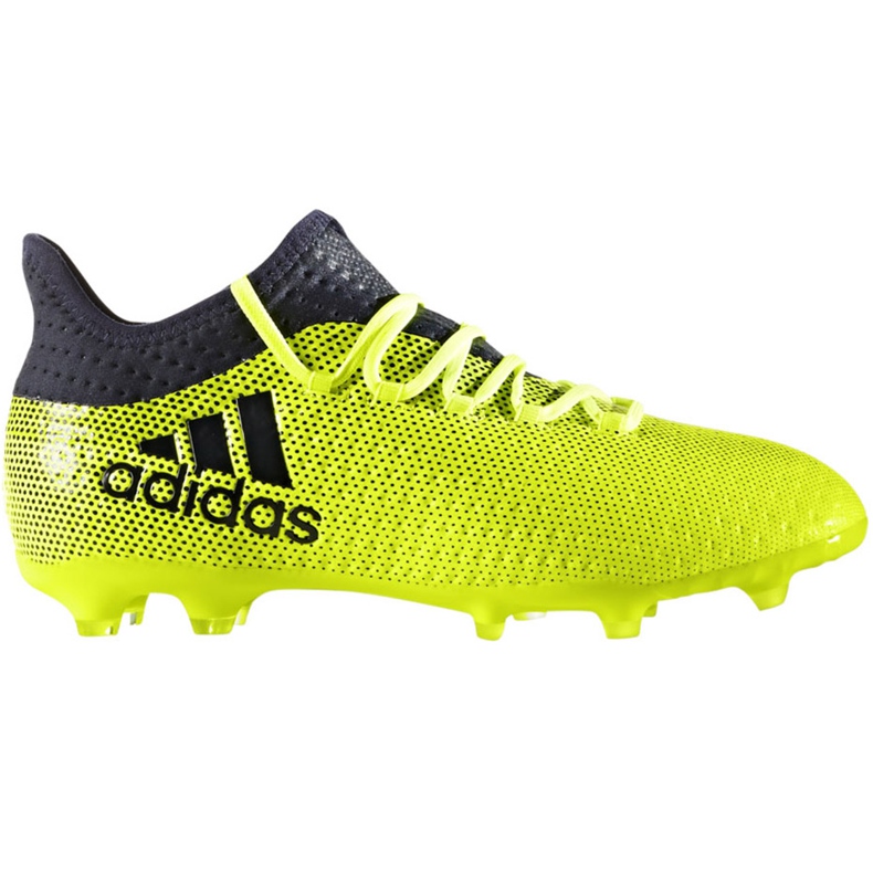 Adidas X 17.1 Fg Jr S82297 fotbollsskor mångfärgad grön