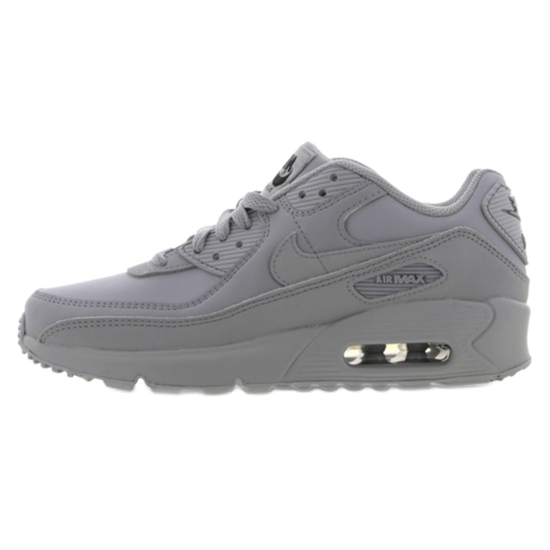 Nike Air Max 90 Ltr Jr CD6864-006 sko grå