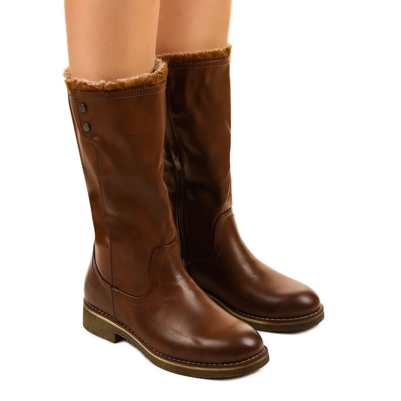 Galaphaura bruna isolerade stövlar