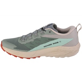 Skor Salomon Sense Ride 5 M 472117 grön 1