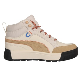 Puma Tarrenz Sb Iii Open Road skor 393929-02 beige 1