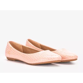 PA1 Aquarinrosa ballerinor 1