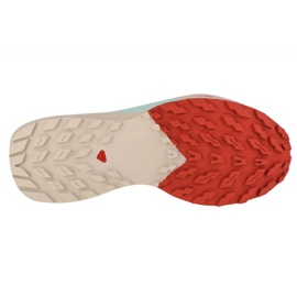 Salomon Sense Ride 5 Off-Road Sportskor 472123 grön 1