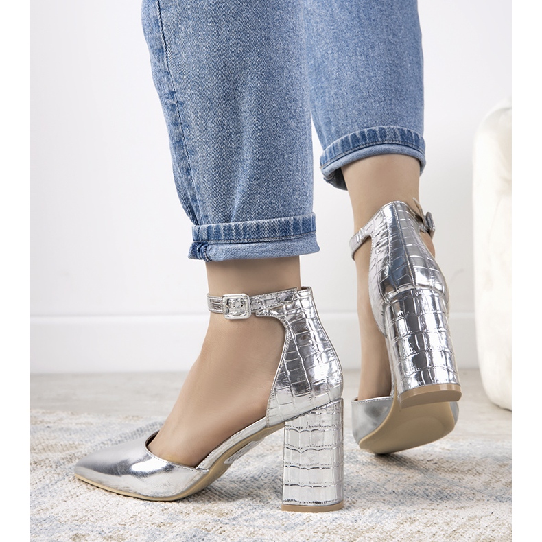 Silverpumpar på Ayers -posten 2