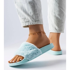 Blå diabilder med päls från Raffaele 1