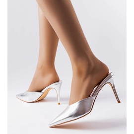 Silver Drainer hälreglage 1