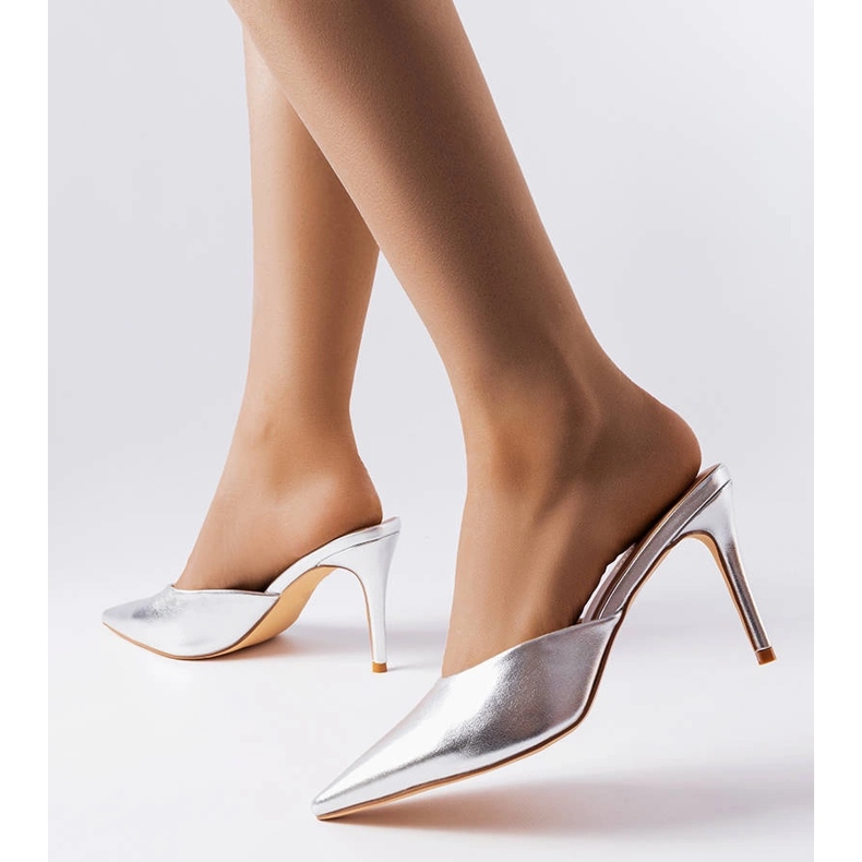 Silver Drainer hälreglage 1