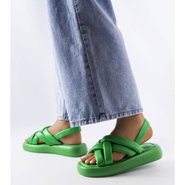 Primeau gröna plattformsrutschbanor 1