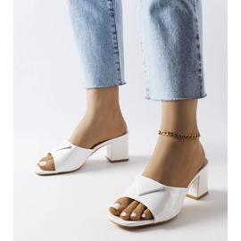 Vitlackerade klaffar på Grenstolpen 1