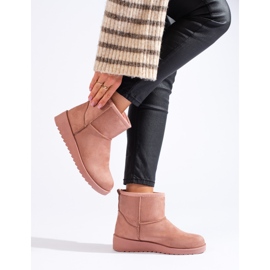 Rosa shelovet damslem 1