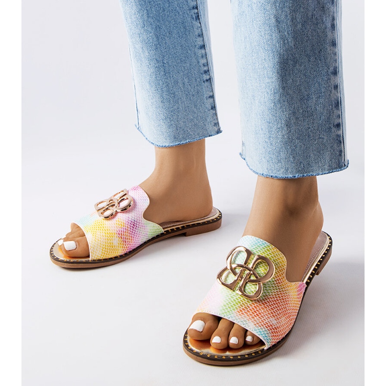 Goodin Lea regnbågsspänne glider mångfärgad 1